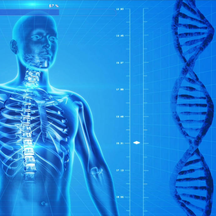 What is the Endocannabinoid System and how does CBD work?