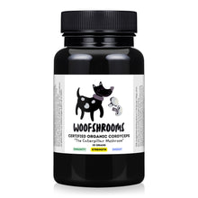 Load image into Gallery viewer, Cordyceps mushroom supplement that benefits dogs.
